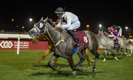 DUKE OF MONLAU AU TOP