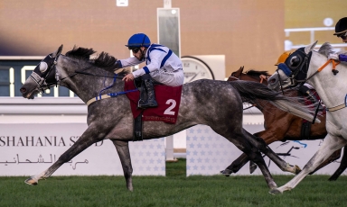 SIXTH VICTORY FOR THE SON OF TABARAK