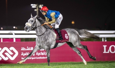 DABIDA CONFIRME SON POTENTIEL