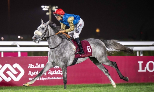 DABIDA CONFIRME SON POTENTIEL